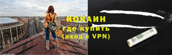 индика Володарск