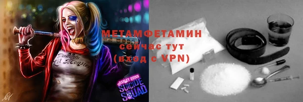 индика Володарск