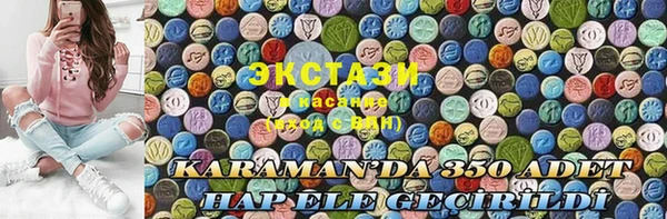 индика Володарск