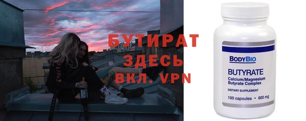 индика Володарск