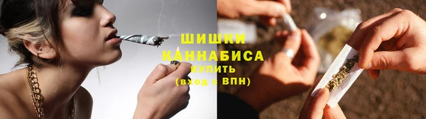 индика Володарск