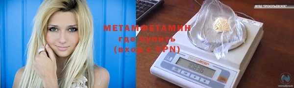 индика Володарск