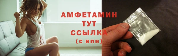 индика Володарск