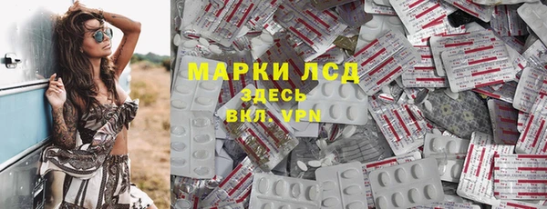 индика Володарск