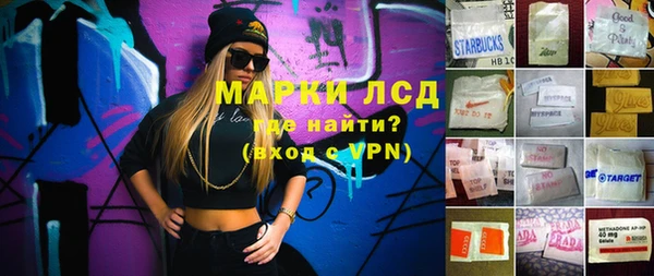 индика Володарск