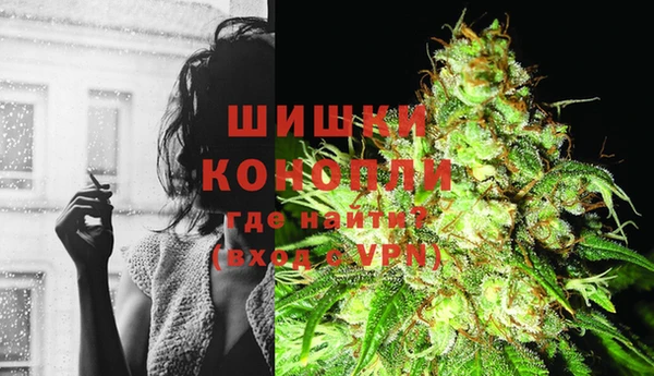 индика Володарск